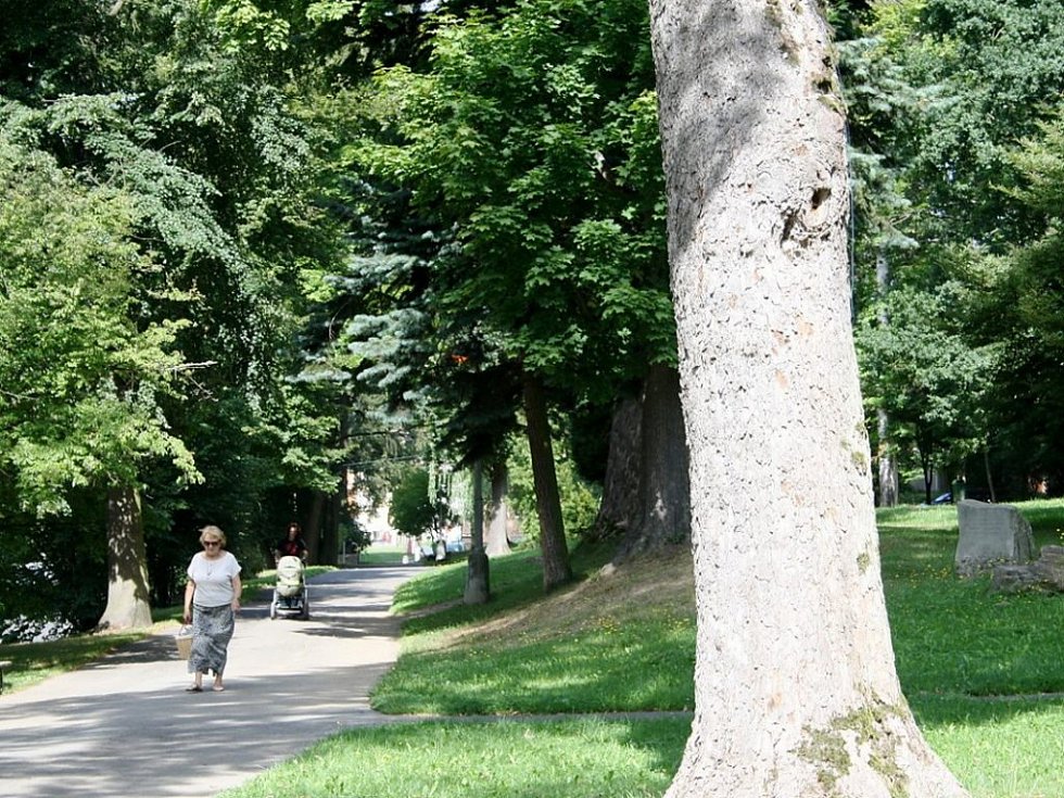 Městský park v Tachově